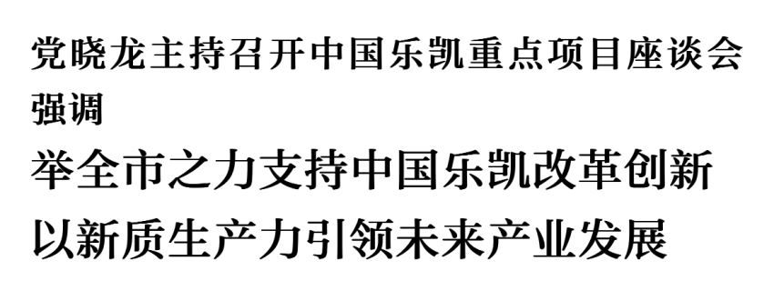 黨曉龍主持召開中國樂凱重點(diǎn)項目座談會